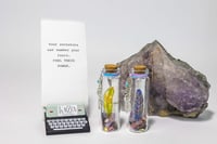 Image 16 of Shaman Dreaming - Message in a Bottle