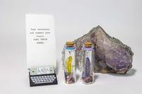 Image 17 of Shaman Dreaming - Message in a Bottle