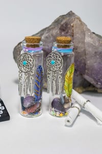 Image 1 of Shaman Dreaming - Message in a Bottle