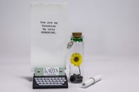 Image 2 of Sunflower - Message in a Bottle