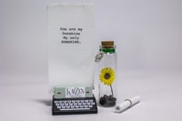 Image 1 of Sunflower - Message in a Bottle