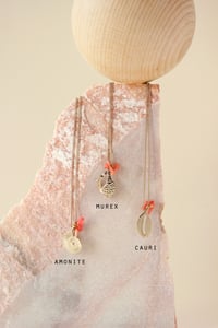 Image 3 of COQUILLAGES // SHELLS - COLLIER S  //  NECKLACE S 