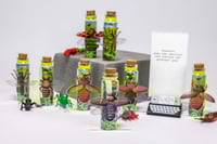 Image 7 of Insects (3D) - Message in a Bottle