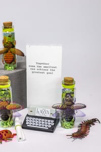 Image 12 of Insects (3D) - Message in a Bottle