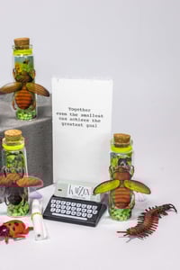 Image 13 of Insects (3D) - Message in a Bottle