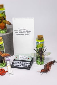 Image 16 of Insects (3D) - Message in a Bottle