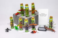Image 17 of Insects (3D) - Message in a Bottle