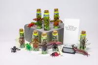 Image 15 of Insects (3D) - Message in a Bottle