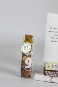 Image 11 of HP Platform 9 3/4 - Message in a Bottle