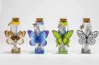 Image 7 of Butterfly 3D - Message in a Bottle