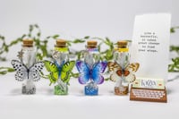 Image 8 of Butterfly 3D - Message in a Bottle
