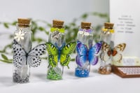Image 9 of Butterfly 3D - Message in a Bottle