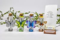 Image 10 of Butterfly 3D - Message in a Bottle