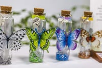 Image 12 of Butterfly 3D - Message in a Bottle