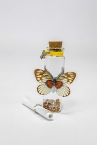 Image 18 of Butterfly 3D - Message in a Bottle