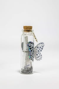 Image 15 of Butterfly 3D - Message in a Bottle