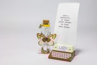 Image 22 of Butterfly 3D - Message in a Bottle
