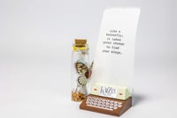 Image 23 of Butterfly 3D - Message in a Bottle