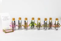 Image 3 of Critters (3D) - Message in a Bottle