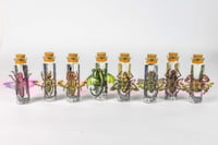 Image 4 of Critters (3D) - Message in a Bottle