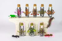 Image 7 of Critters (3D) - Message in a Bottle