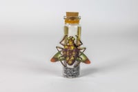 Image 5 of Critters (3D) - Message in a Bottle