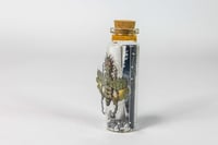 Image 11 of Critters (3D) - Message in a Bottle