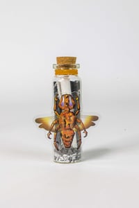 Image 14 of Critters (3D) - Message in a Bottle