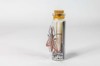 Image 15 of Critters (3D) - Message in a Bottle