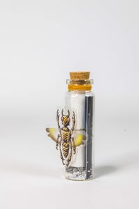 Image 19 of Critters (3D) - Message in a Bottle