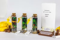 Image 1 of Kong Country - Message in a Bottle