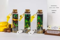 Image 2 of Kong Country - Message in a Bottle