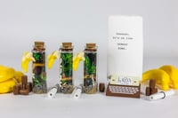 Image 4 of Kong Country - Message in a Bottle