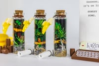 Image 7 of Kong Country - Message in a Bottle