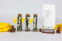Image 6 of Kong Country - Message in a Bottle