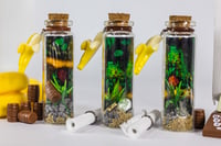 Image 3 of Kong Country - Message in a Bottle