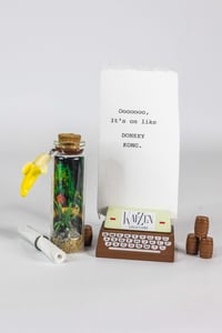 Image 16 of Kong Country - Message in a Bottle