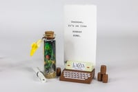 Image 18 of Kong Country - Message in a Bottle