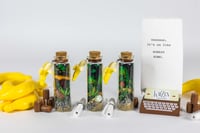 Image 19 of Kong Country - Message in a Bottle