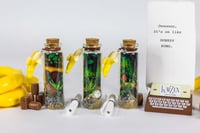 Image 20 of Kong Country - Message in a Bottle