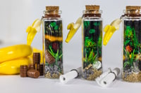 Image 21 of Kong Country - Message in a Bottle