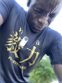 Image 6 of PERSEVERANCE | 毅力 (yìlì)