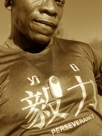 Image 1 of PERSEVERANCE | 毅力 (yìlì)