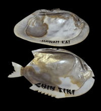 Vintage Pair of Natural Shell Ashtrays Hawaii Kai Chin Tiki FREE SHIPPING 