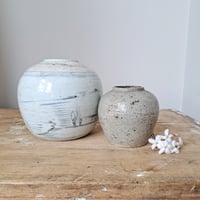 Image 1 of Fabulous Earthy Ginger Jars