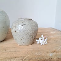 Image 6 of Fabulous Earthy Ginger Jars