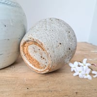 Image 9 of Fabulous Earthy Ginger Jars