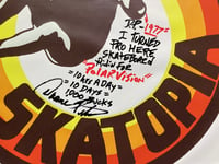 Image 2 of SKATOPIA skate park vinyl BANNER