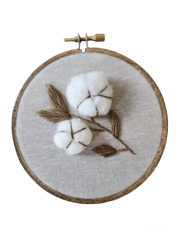 Image of Cotton bolls