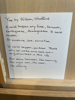 Image of Megan Jaffe | NOW